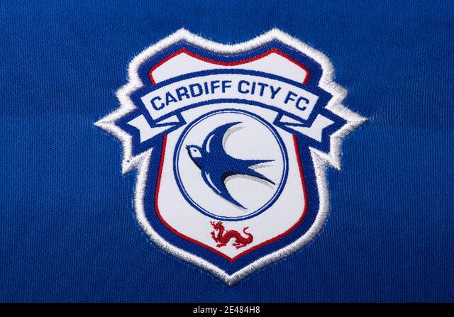 BBC REPORT: Cardiff City midfielder is out for a minimum of three weeks after suffering a knee injury in training…..