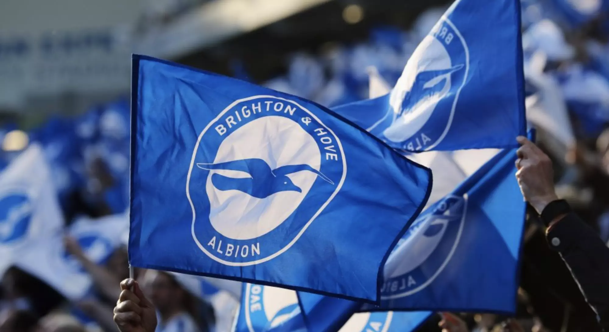 According to BBC report: AFC Bournemouth head coach Andoni Iraola on his goal against Brighton…