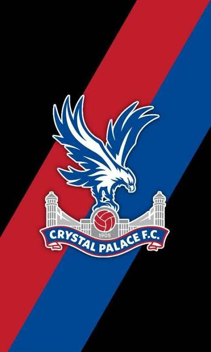 Crystal Palace star keeps impressing always certainly going to be a real gem
