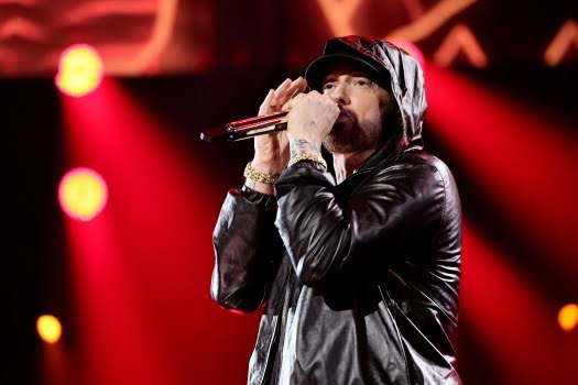 Lions superfan Eminem gets heated with 49ers fans at NFC Championship Game