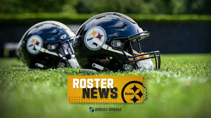 Breaking News: The Pittsburgh Steelers will be unleashed as the result of…