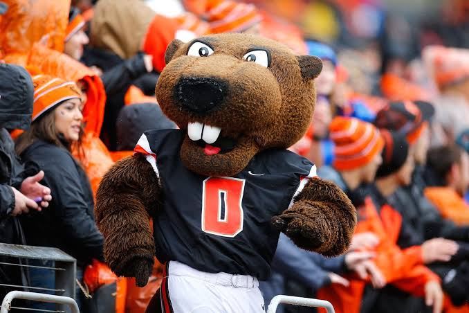 Attention!! Oregon State Beavers Revealed Plans to Change Their Mascot Benny Beaver Due To…